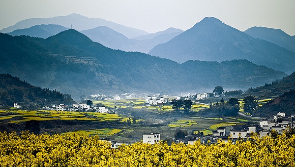 江西小巷深处的美食奇遇记