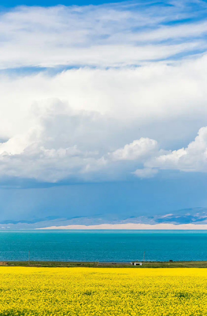 青海，深度解读高原魅力与独特风情评论文章