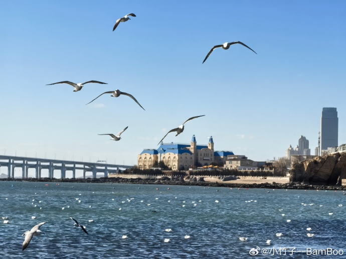 揭秘大连,活力之城的魅力无限