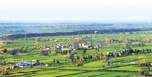 盘锦，美丽土地的独特魅力🌿