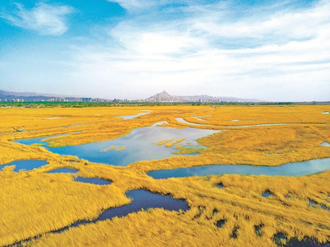 乌海探秘，探寻绿色乌海的奥秘之旅🌿🏞️