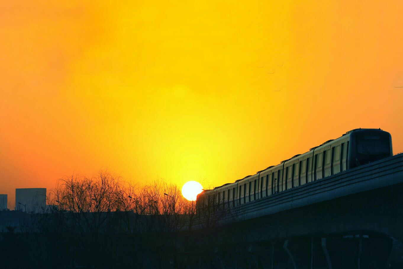 朝阳科技之光，全新高科技产品探秘