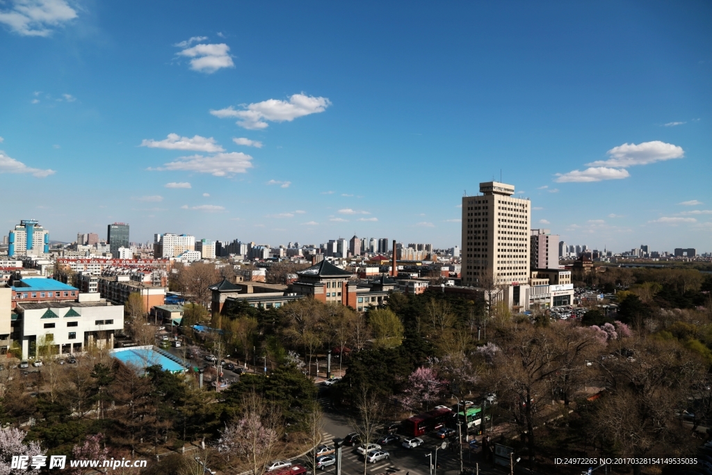 长春的魅力，城市之韵的探寻